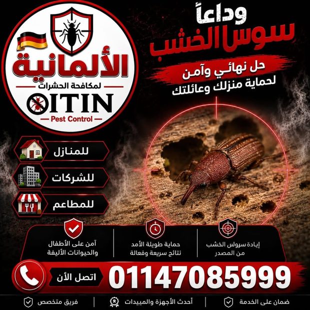 خدمة مكافحة سوس الخشب